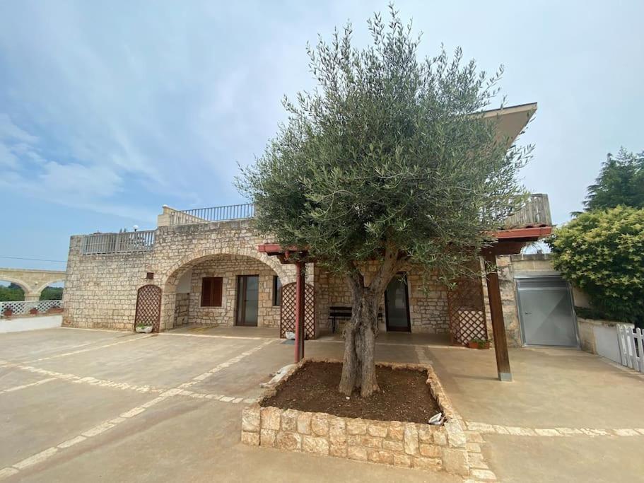 Villa Coco Monopoli Kültér fotó